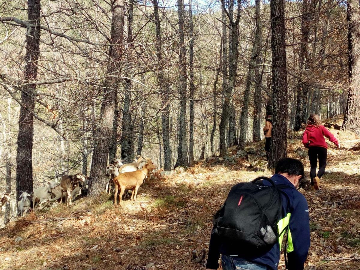 Casa Cerro Da Correia Vendégház Manteigas Kültér fotó